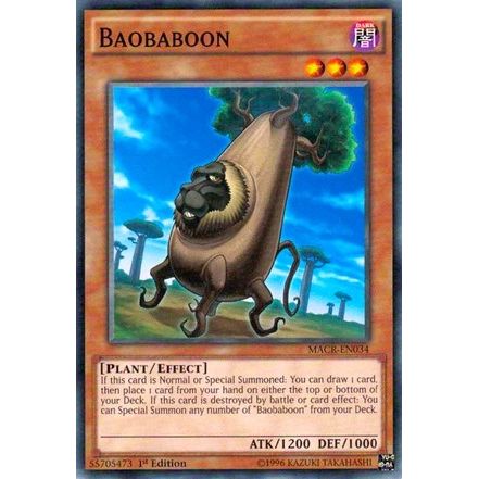 Image for Baobaboon (MACR-EN034) (MACR) - YuGiOh