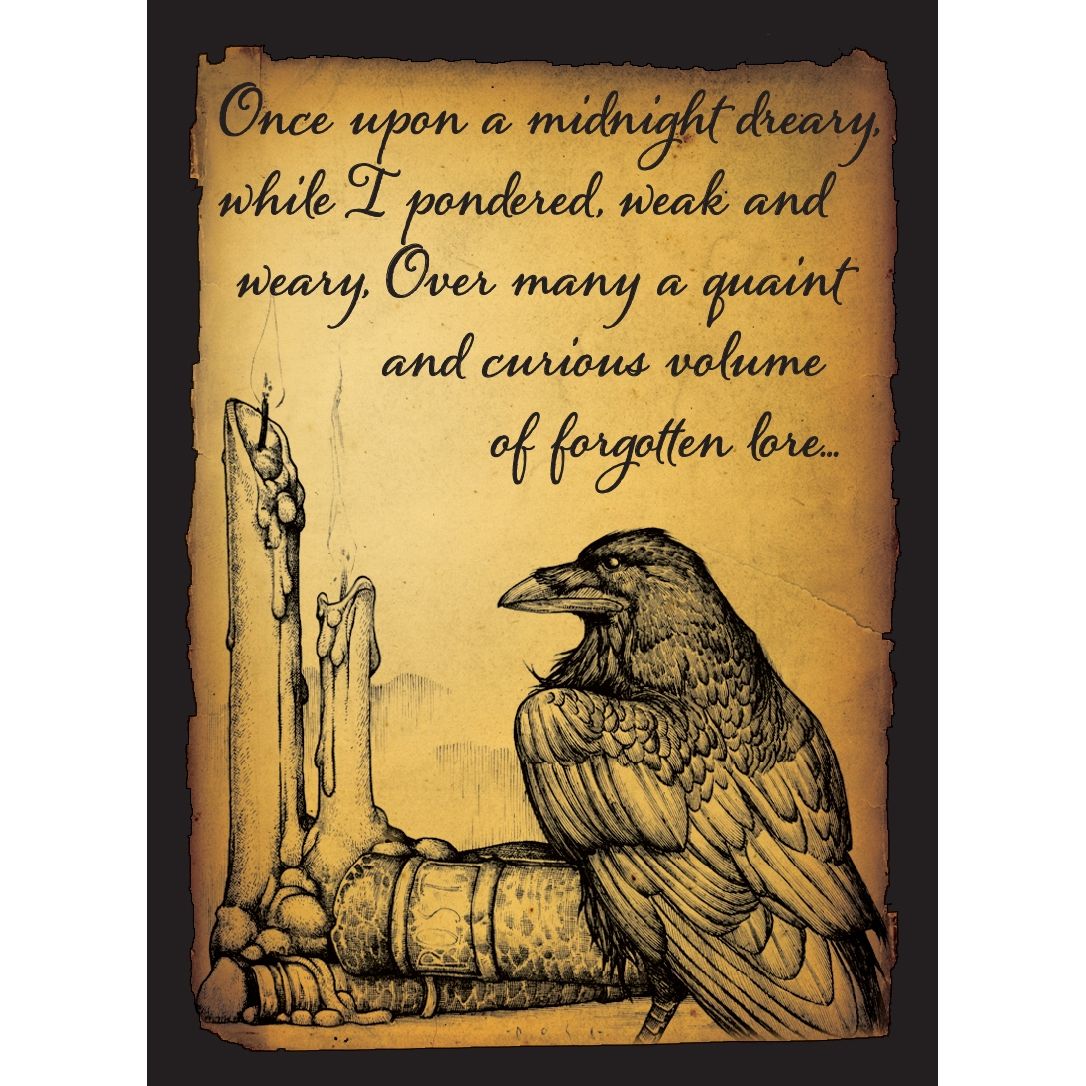 Image for Double Matte Art Sleeve - Raven (50-Pack) - Card Sleeves