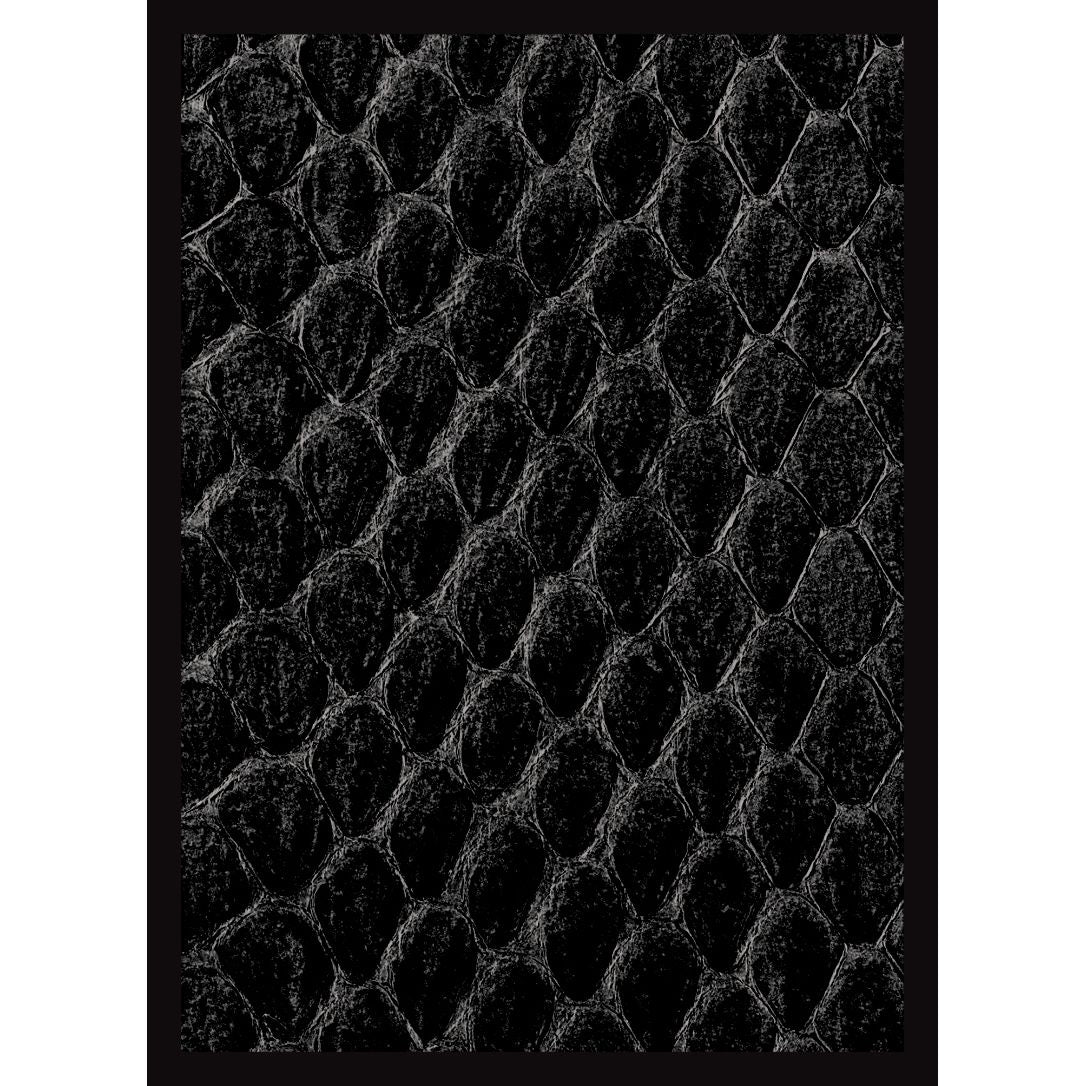 Image for Gloss Sleeve - Dragon Hide Black (50-Pack) - Card Sleeves