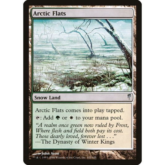 Image for Arctic Flats (143) (CSP) - Magic: The Gathering