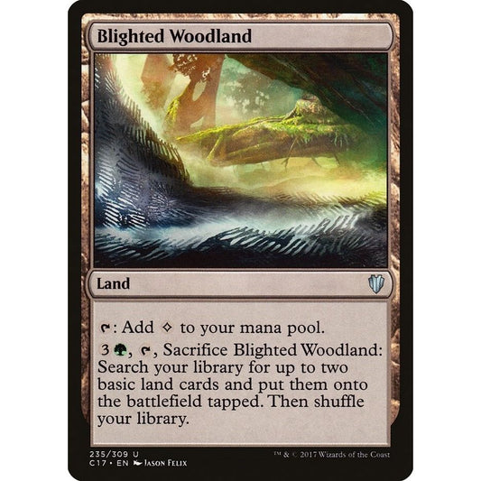 Image for Blighted Woodland (235) (C17) - Magic: The Gathering