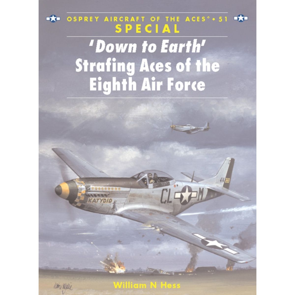 Image for ‘Down to Earth' Strafing Aces of the Eighth Air Force - Books