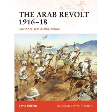 Image for Arab Revolt 1916-18: Lawrence Sets Arabia Ablaze - Books