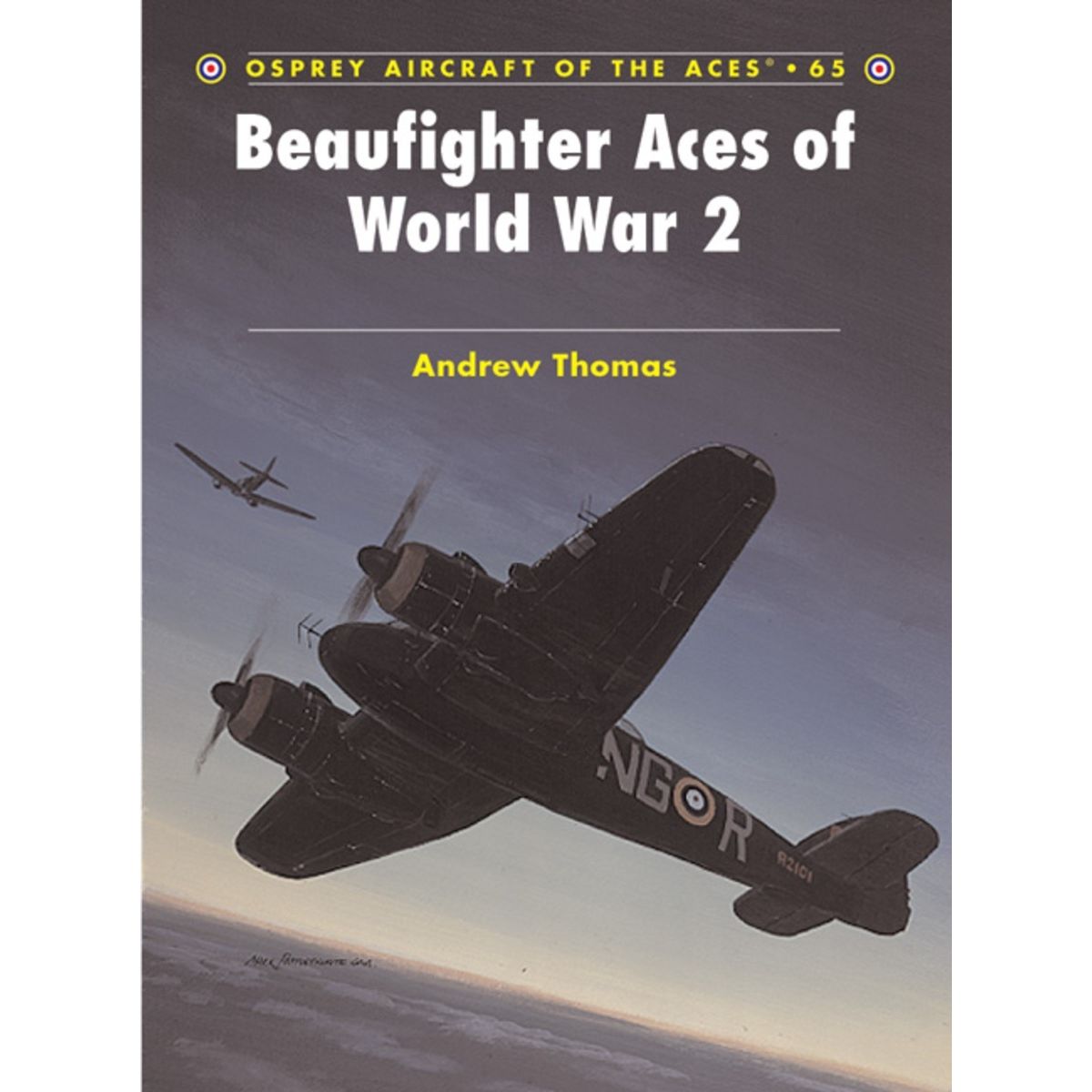 Image for Beaufighter Aces of World War 2 - Books