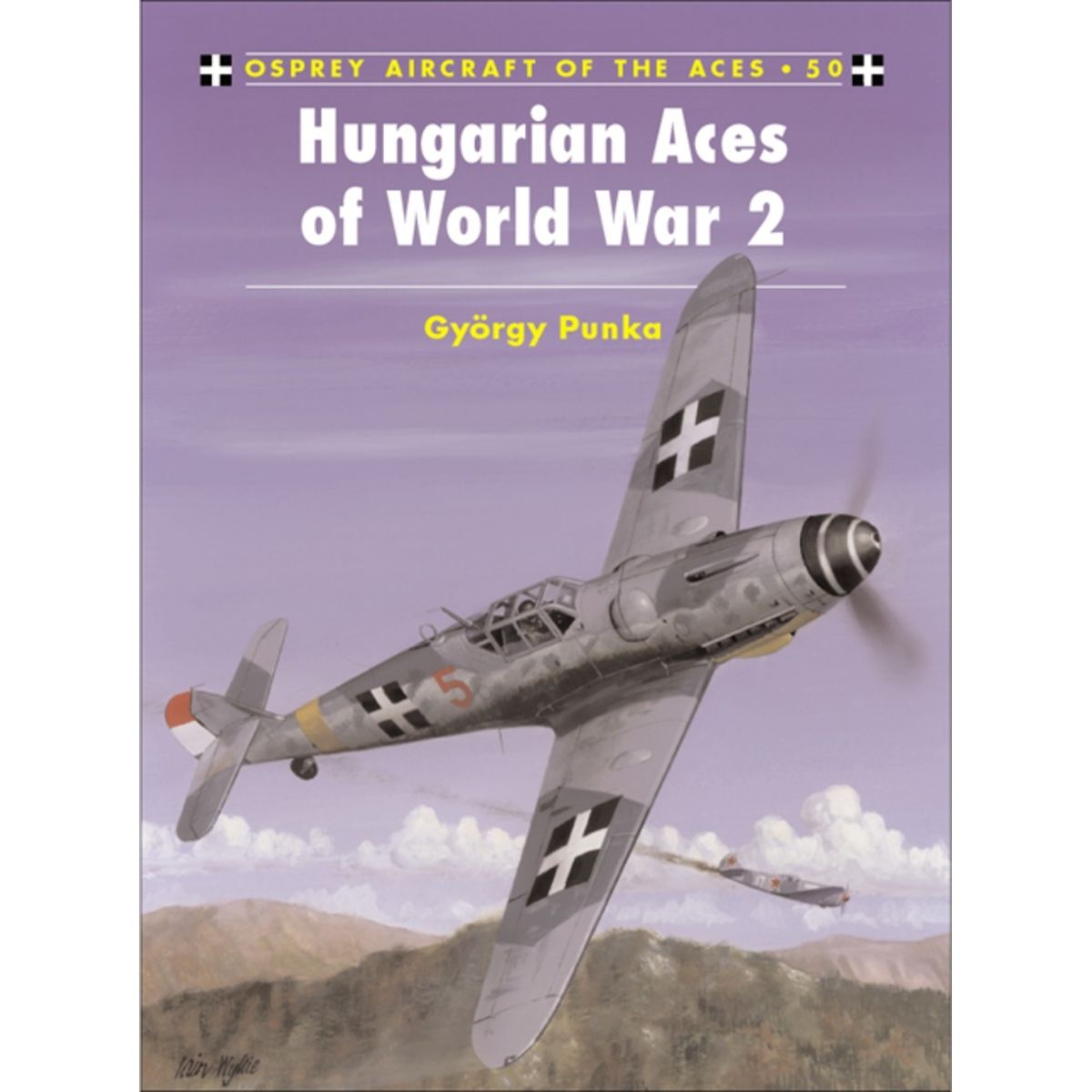 Image for Hungarian Aces of World War 2 - Books