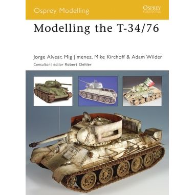Image for Modelling the T - Books