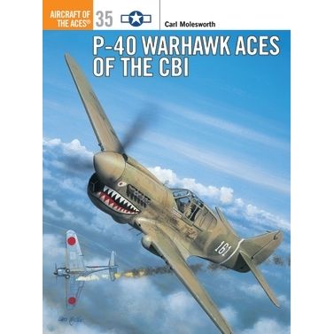 Image for P-40 Warhawk Aces of the CBI - Books