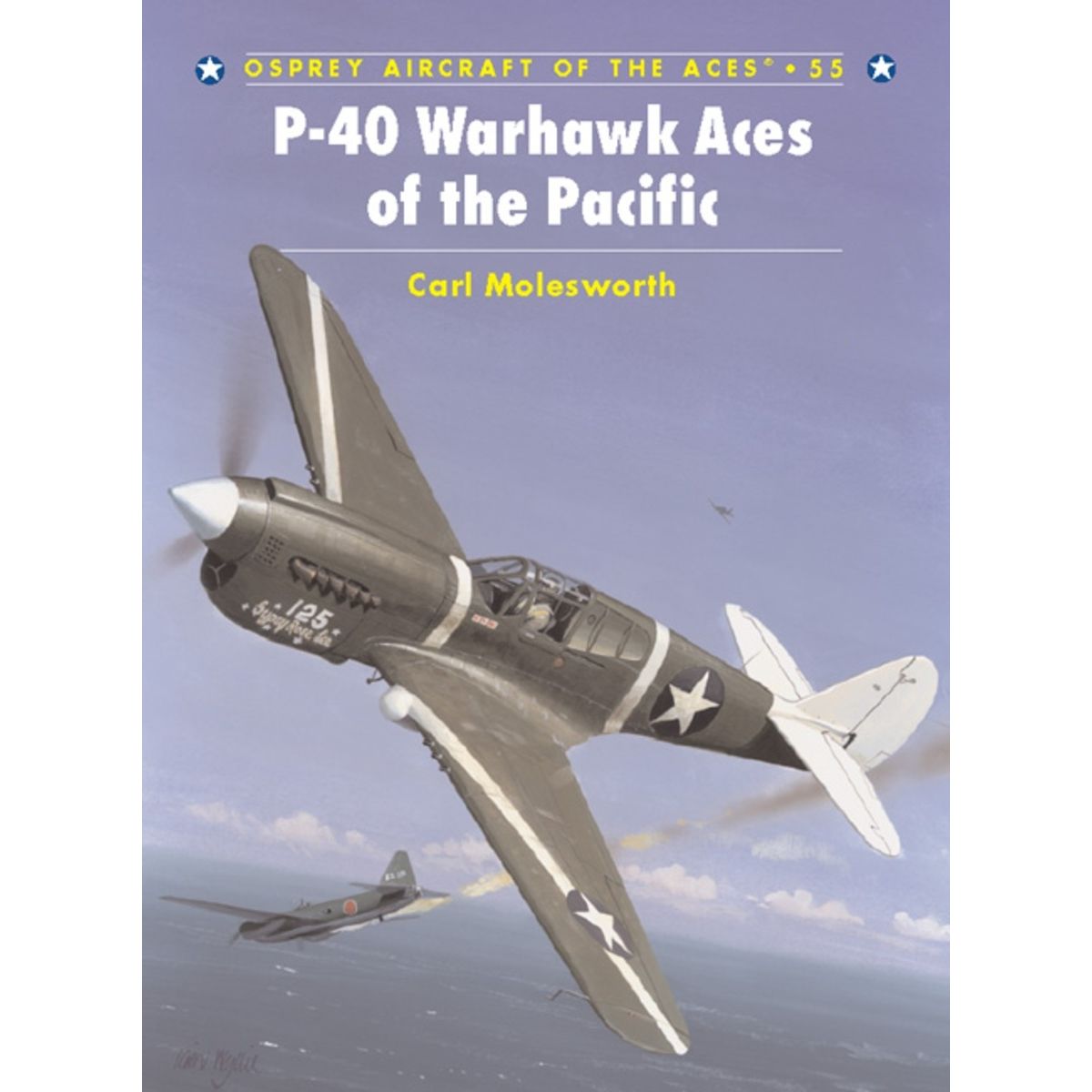 Image for P-40 Warhawk Aces of the Pacific - Books