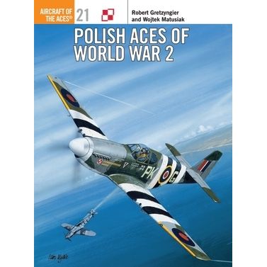 Image for Polish Aces of World War 2 - Books