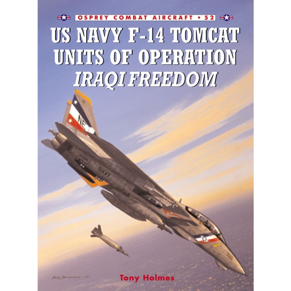 Image for US Navy F-14 Tomcat Units of Operation Iraqi Freedom - Books