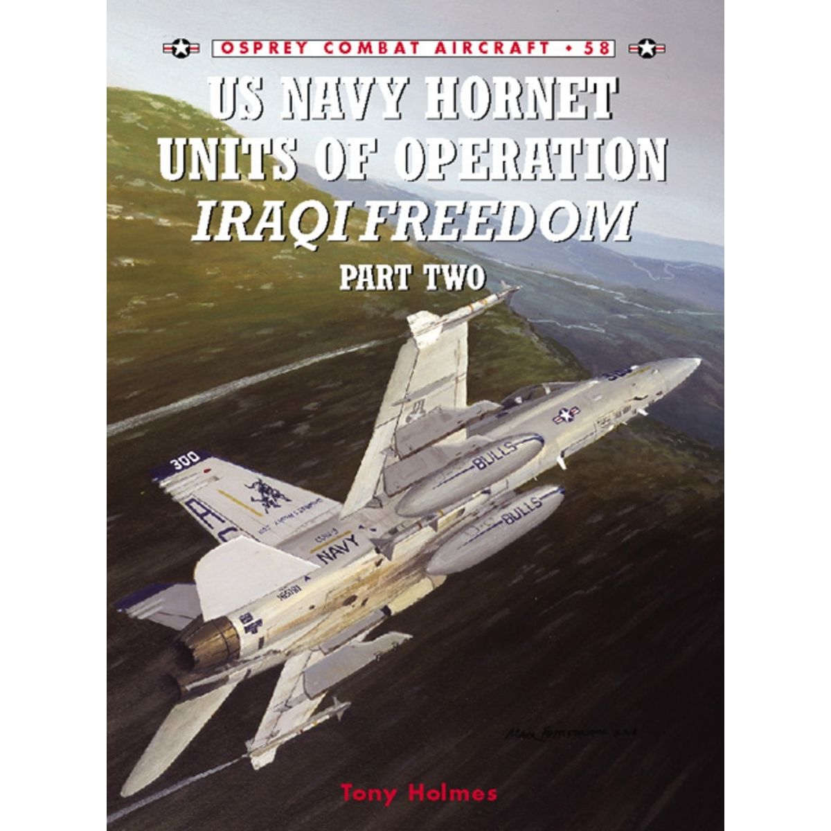 Image for US Navy Hornet Units of Operation Iraqi Freedom (Part Two) - Books