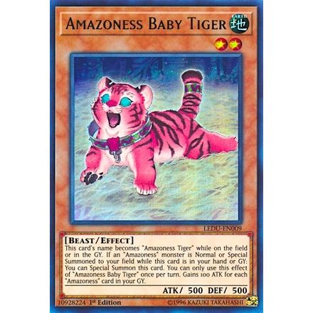 Image for Amazoness Baby Tiger (LEDU-EN009) (LEDU) - YuGiOh