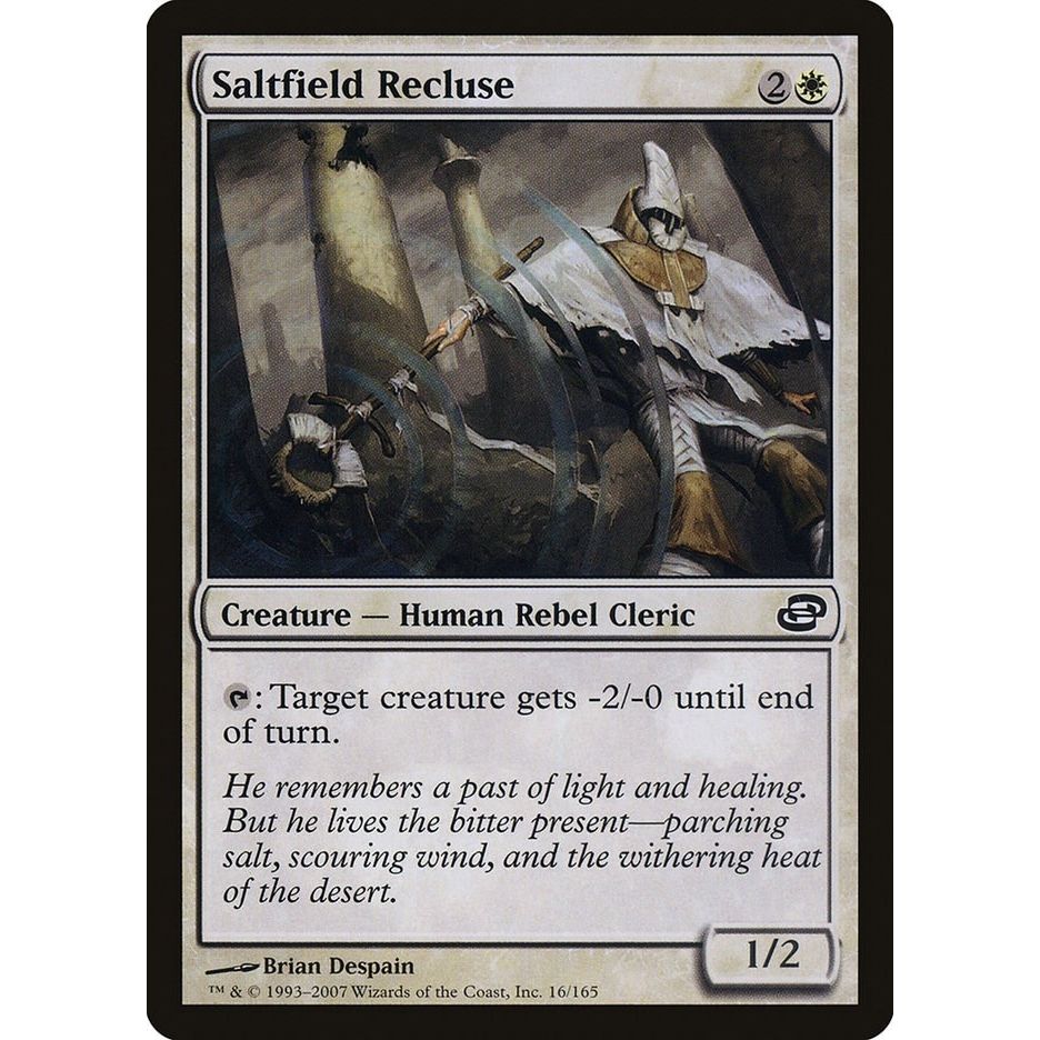 Image for Saltfield Recluse (16) (PLC) - Magic: The Gathering