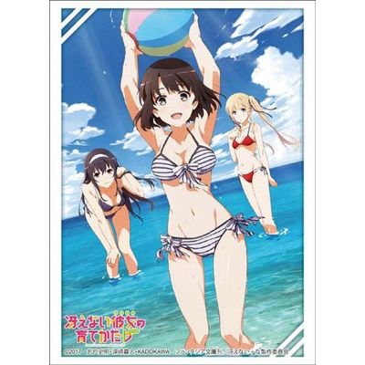 Image for Bushiroad Sleeve Collection HG Vol.1304: Saekano: How to Raise a Boring Girlfriend Flat (60-Pack) - Card Sleeves