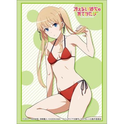 Image for Bushiroad Sleeve Collection HG Vol.1482: How to Raise a Boring Girlfriend Flat - Eriri Spencer Sawamura (Swimsuit) (60-Pack) - Card Sleeves