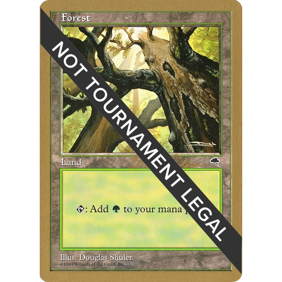 Image for Forest (Skyward) - 1998 Brian Selden (TMP) (WCD) - Magic: The Gathering