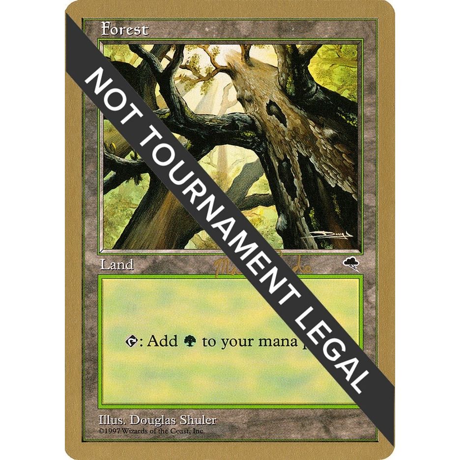 Image for Forest (Skyward) - 1999 Matt Linde (TMP) (WCD) - Magic: The Gathering