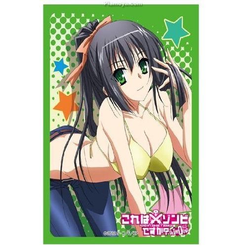 Image for Bushiroad Sleeve Collection HG Vol.314: Kore wa Zombie Desuka? of the Dead - Seraphim (60-Pack) - Card Sleeves