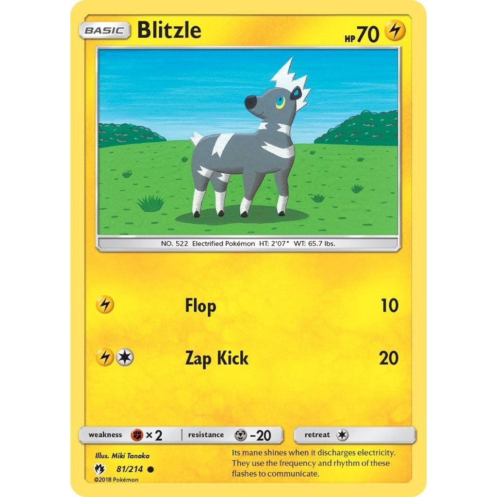 Image for Blitzle (81/214) (SM8) - Pokemon