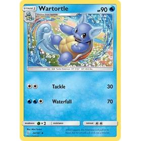 Wartortle Pokemon