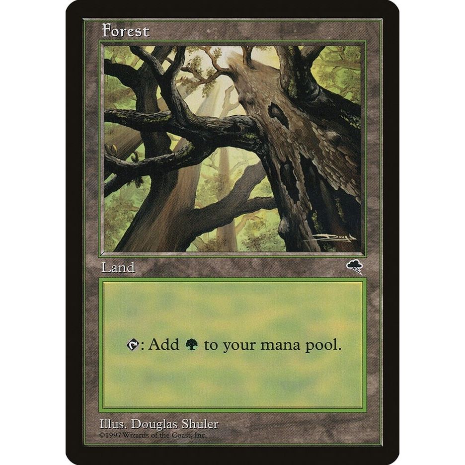 Image for Forest (Skyward) (347) (TMP) - Magic: The Gathering