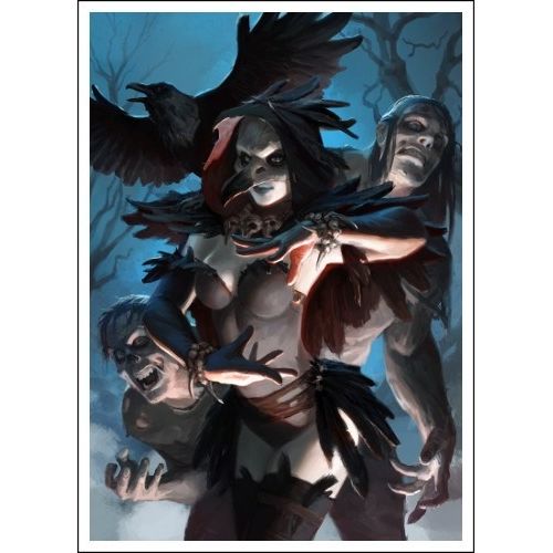 Image for Raven Necromancer - Heroes and Villains - Matte Card Sleeves (60-Pack) (FN2) - Card Sleeves