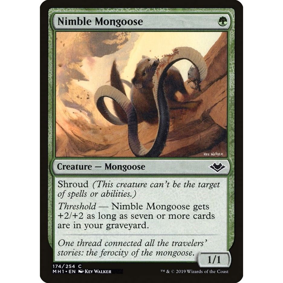 Image for Nimble Mongoose (174) (MH1) - Magic: The Gathering
