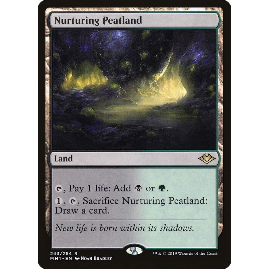 Image for Nurturing Peatland (243) (MH1) - Magic: The Gathering