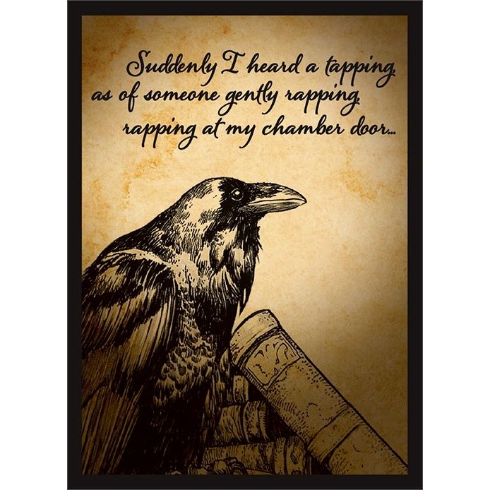 Image for Double Matte Art Sleeve - Raven 2019 (50-Pack) - Card Sleeves
