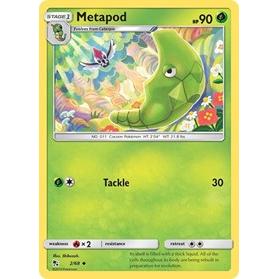 Metapod Pokemon