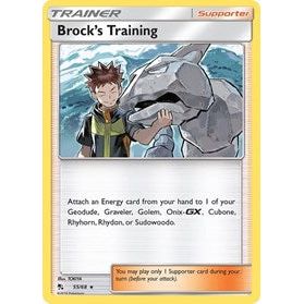Brock's Training Pokemon
