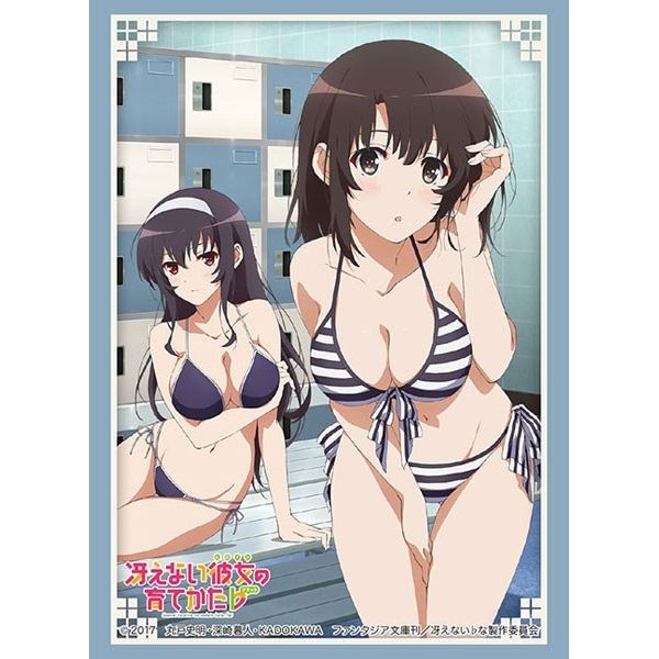 Image for Bushiroad Sleeve Collection HG Vol.2186: Saekano: How to Raise a Boring Girlfriend Flat - Megumi & Utaha (60-Pack) - Card Sleeves