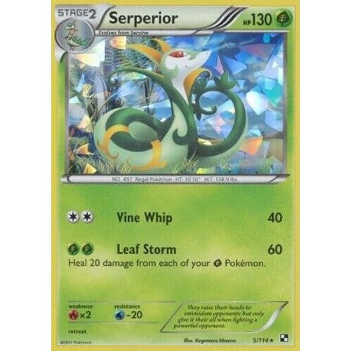 Image for Serperior - 5/114 (Cracked Ice Holo) (005/114) (PR) - Pokemon