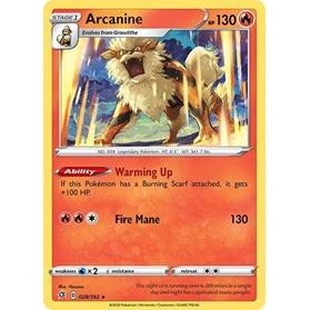 Arcanine Pokemon