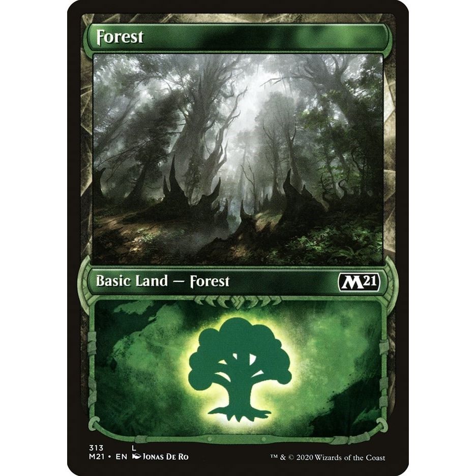 Image for Forest (Showcase) (313) (M21) - Magic: The Gathering