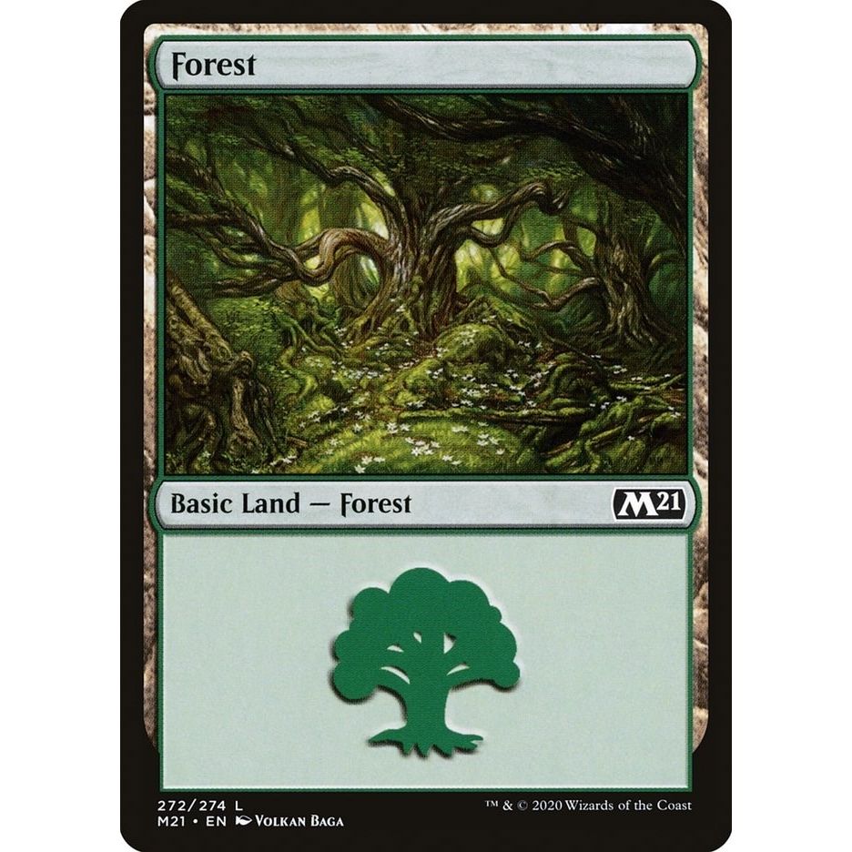 Image for Forest (272) (272) (M21) - Magic: The Gathering