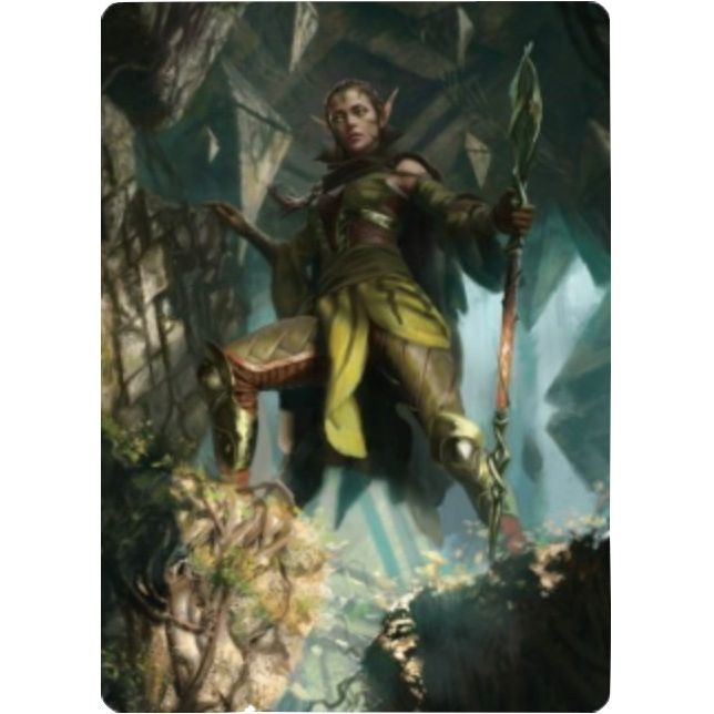 Image for Nissa of Shadowed Boughs Art Card (5/81) (5) (ASZNR) - Magic: The Gathering