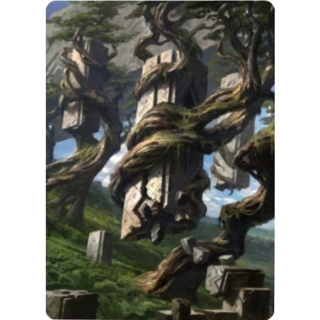 Image for Forest Art Card (20/81) (20) (ASZNR) - Magic: The Gathering