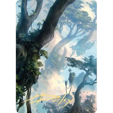 Image for Forest Art Card (19/81) (Gold-Stamped Signature) (19) (ASZNR) - Magic: The Gathering
