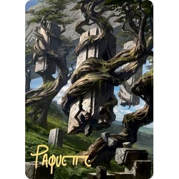 Image for Forest Art Card (20/81) (Gold-Stamped Signature) (20) (ASZNR) - Magic: The Gathering