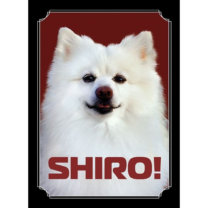 Image for Gloss Sleeve - Shiro (50-Pack) - Card Sleeves