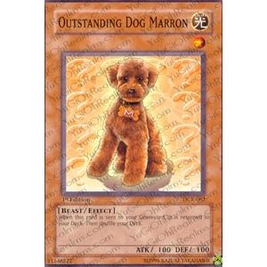 Image for Outstanding Dog Marron (DCR-062) (DCR) - YuGiOh