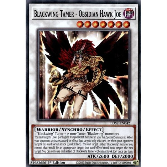 Image for Blackwing Tamer - Obsidian Hawk Joe (LDS2-EN042) (LDS2) - YuGiOh