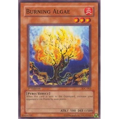 Image for Burning Algae (IOC-062) (IOC) - YuGiOh