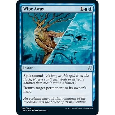 Image for Wipe Away (100) (TSR) - Magic: The Gathering