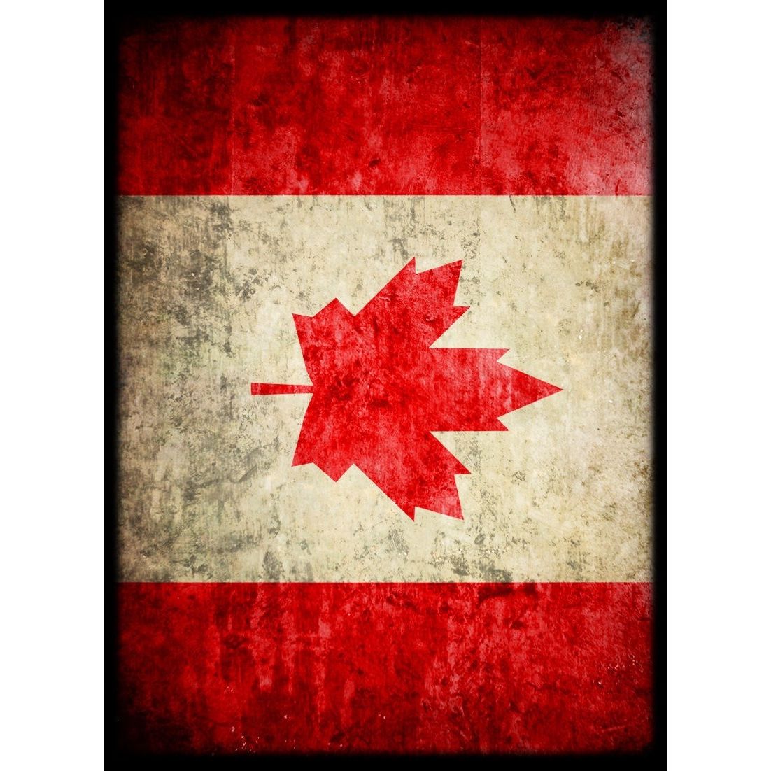 Image for Canada Maple Leaf Flag Card Sleeves - Standard (50-Pack) - Card Sleeves