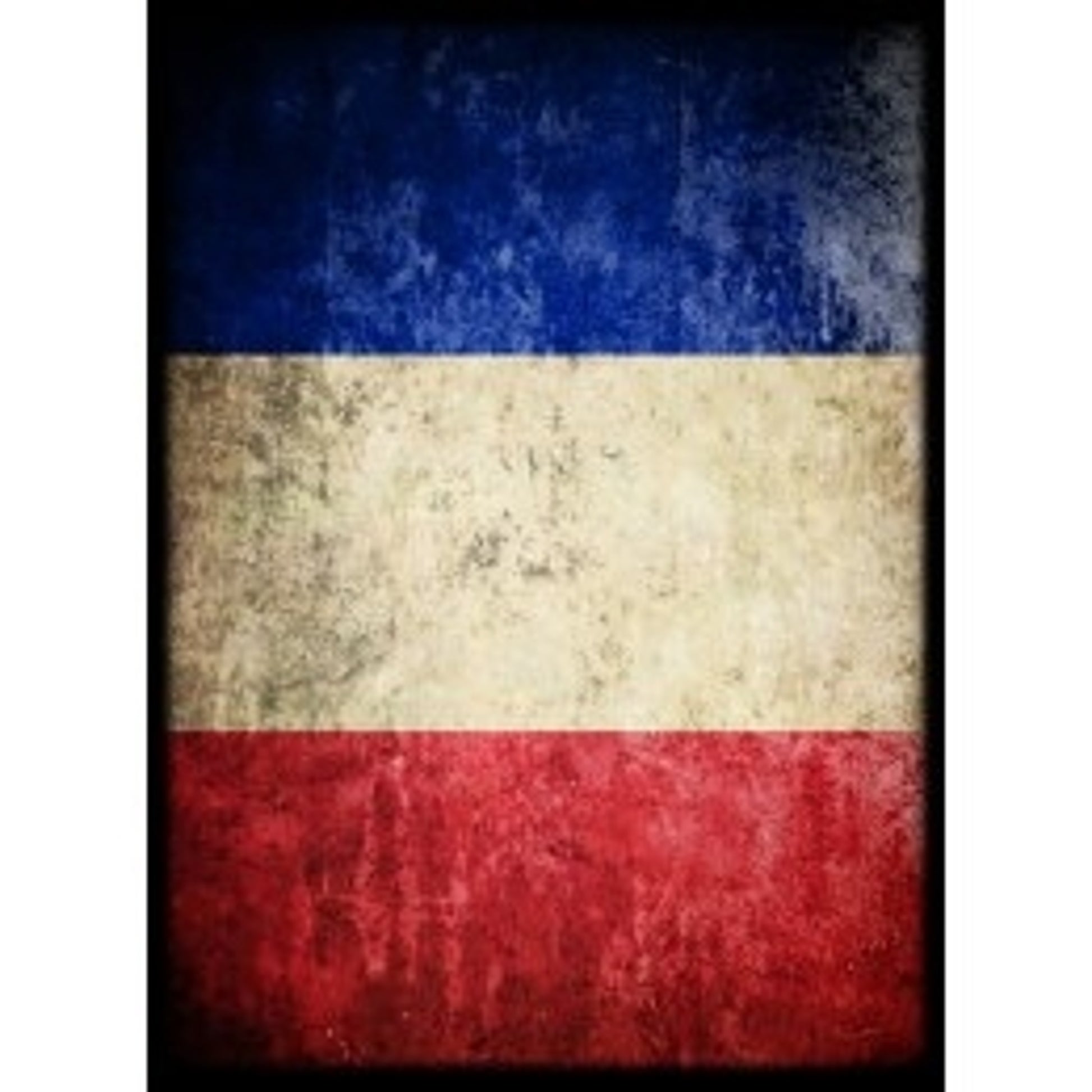 Image for France Flag Card Sleeves - Standard (50-Pack) - Card Sleeves