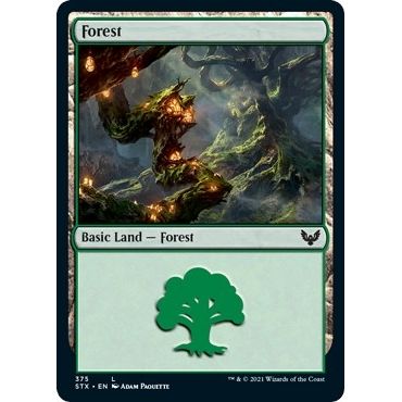 Image for Forest (375) (375) (STX) - Magic: The Gathering