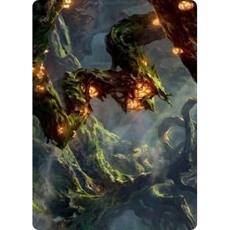Image for Forest Art Card (50) (ASSTX) - Magic: The Gathering