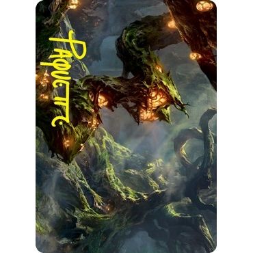 Image for Forest Art Card (Gold-Stamped Signature) (50) (ASSTX) - Magic: The Gathering